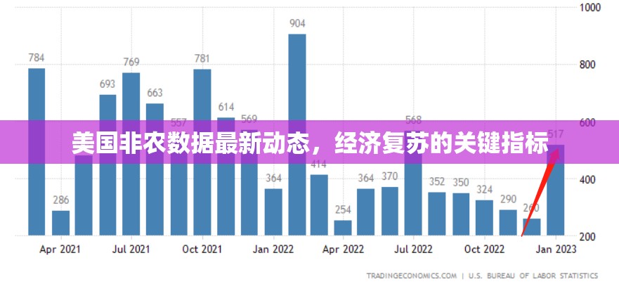 美國非農(nóng)數(shù)據(jù)最新動態(tài)，經(jīng)濟復(fù)蘇的關(guān)鍵指標解析