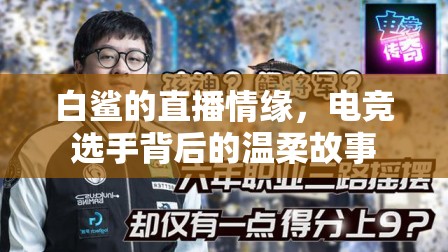 白鯊的直播情緣，電競(jìng)選手背后的溫柔故事