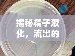 揭秘精子液化，流出的真相與常見誤解