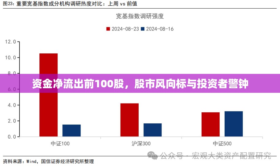 資金凈流出前100股，股市風(fēng)向標(biāo)與投資者警鐘