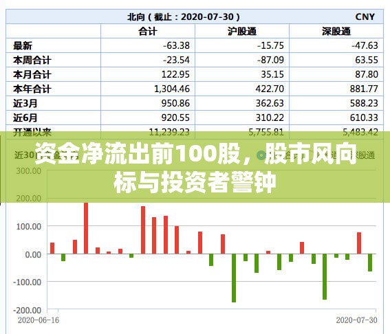 資金凈流出前100股，股市風(fēng)向標(biāo)與投資者警鐘