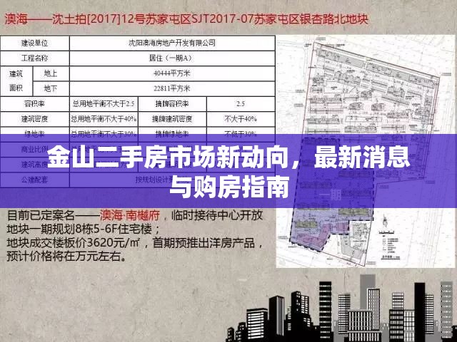 金山二手房市場動態(tài)，最新資訊與購房攻略