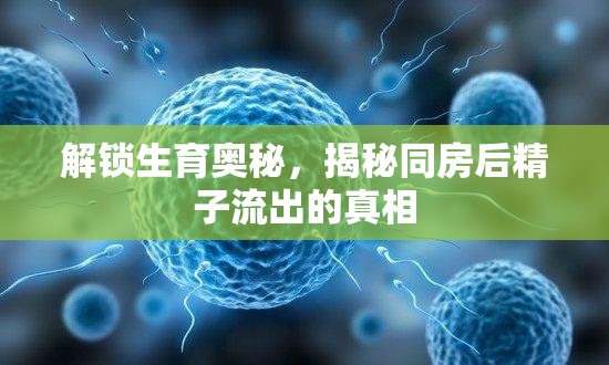 解鎖生育奧秘，揭秘同房后精子流出的真相