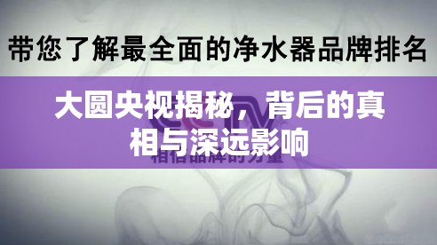 大圓央視揭秘，背后的真相與深遠影響