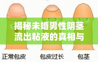 男性生理現(xiàn)象，揭秘未婚男性陰莖粘液流出的真相與常見(jiàn)誤區(qū)