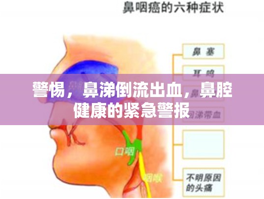 鼻腔健康危機(jī)，鼻涕倒流出血的警示信號(hào)