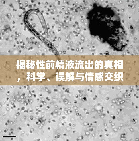 精液流出，科學(xué)解析、常見(jiàn)誤區(qū)與情感因素