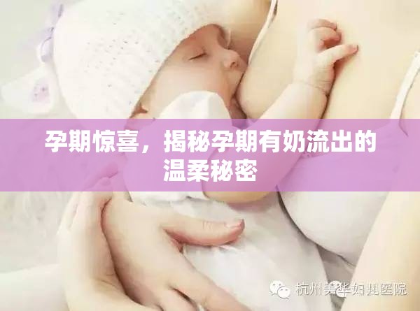 孕期的溫柔奇跡，揭秘孕期乳汁分泌的秘密