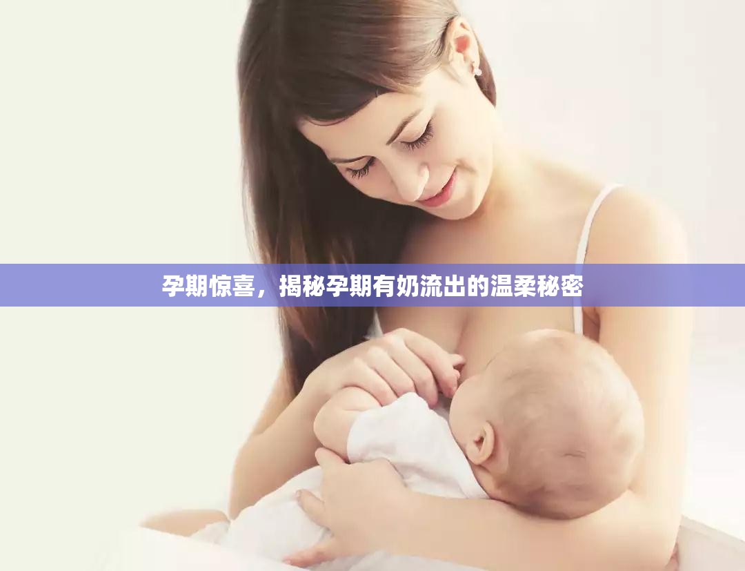 孕期的溫柔奇跡，揭秘孕期乳汁分泌的秘密