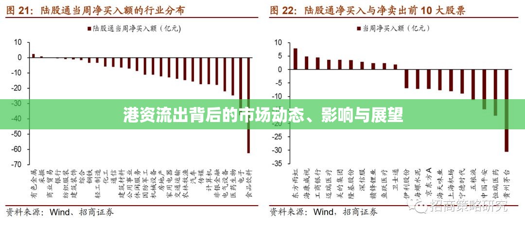 港資外流，市場動態(tài)、影響及未來展望分析