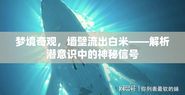 夢境中的神秘信號，墻壁白米流的潛意識解析