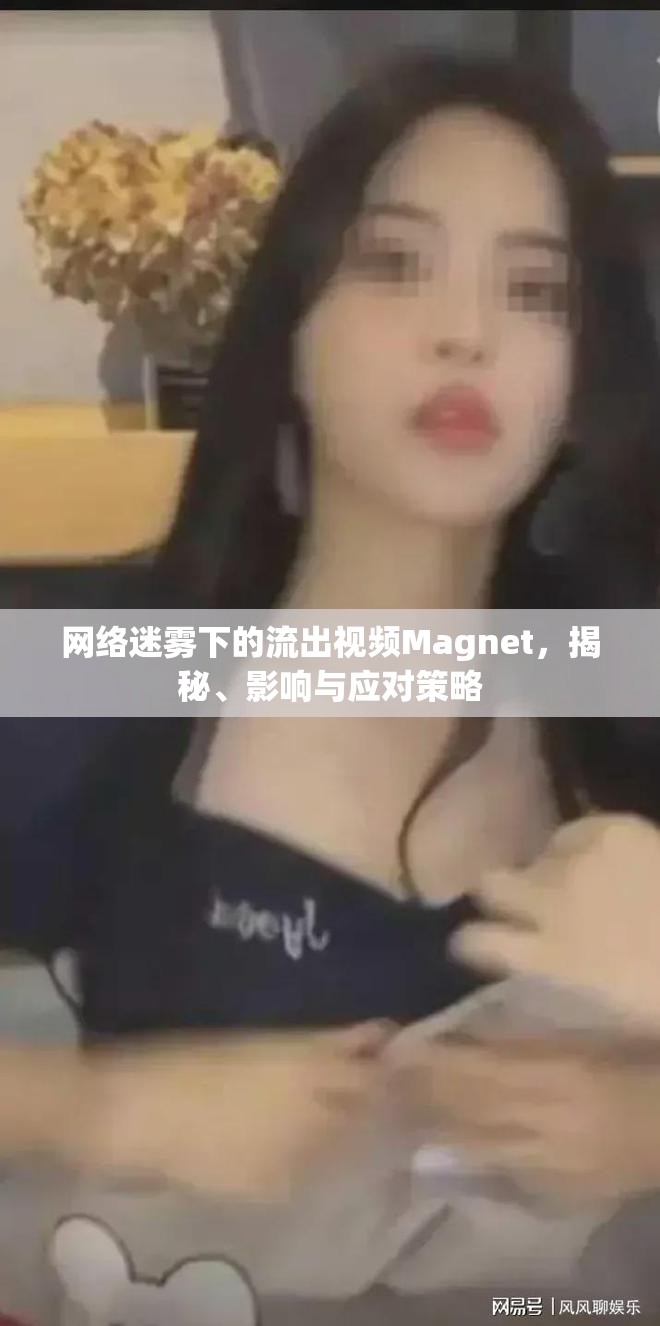 網(wǎng)絡迷霧中的Magnet視頻，揭秘、影響與應對策略