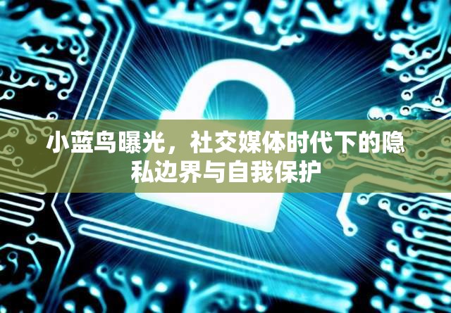 社交媒體時(shí)代隱私保護(hù)，小藍(lán)鳥事件的啟示