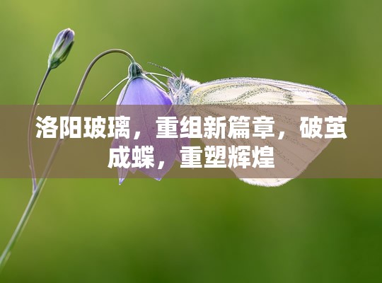 洛陽玻璃，重組蛻變，開啟輝煌新篇章