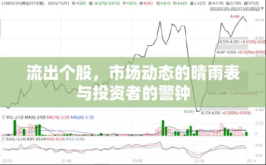 股市晴雨表，個股資金流向與市場動態(tài)分析