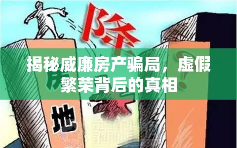 揭秘威廉房產(chǎn)騙局，虛假繁榮背后的真相