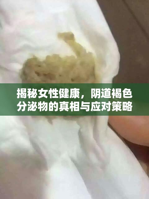 女性健康揭秘，陰道褐色分泌物的真相與應(yīng)對之道