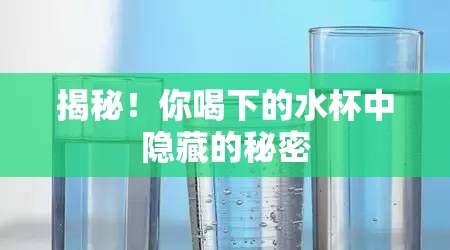 揭秘！你喝下的水杯中隱藏的秘密