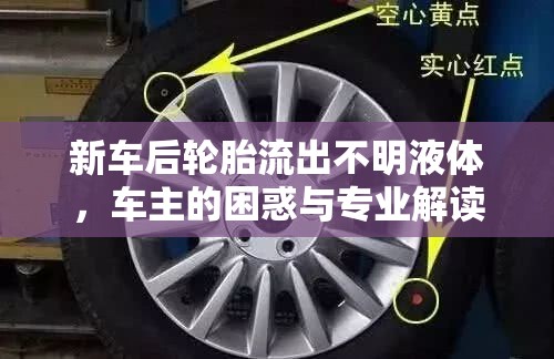 新車后輪胎不明液體泄漏，車主困惑與專家解析