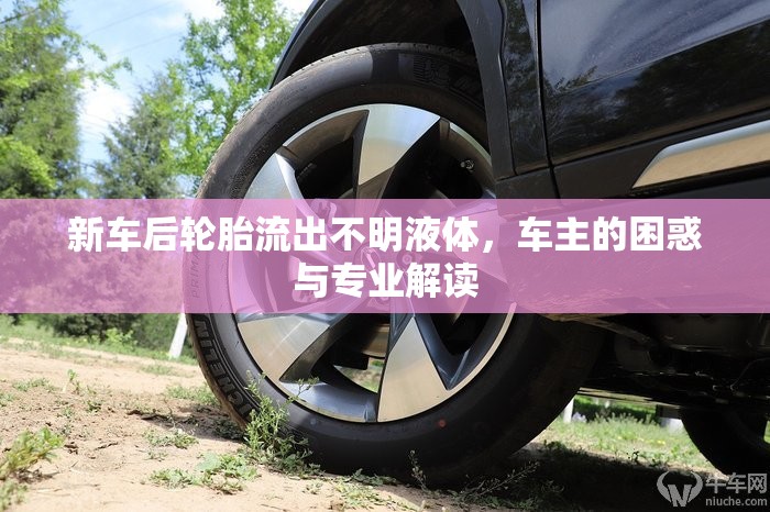 新車后輪胎流出不明液體，車主的困惑與專業(yè)解讀