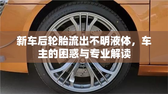 新車后輪胎不明液體泄漏，車主困惑與專家解析