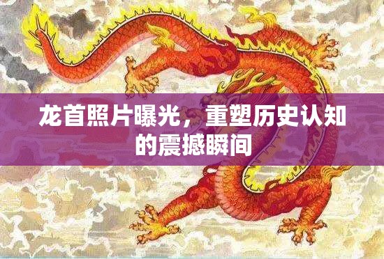 龍首照片曝光，重塑歷史認(rèn)知的震撼瞬間