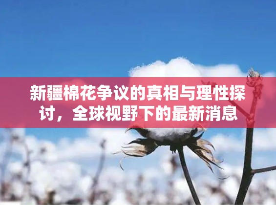 新疆棉花爭(zhēng)議，全球視角下的真相探究與理性分析