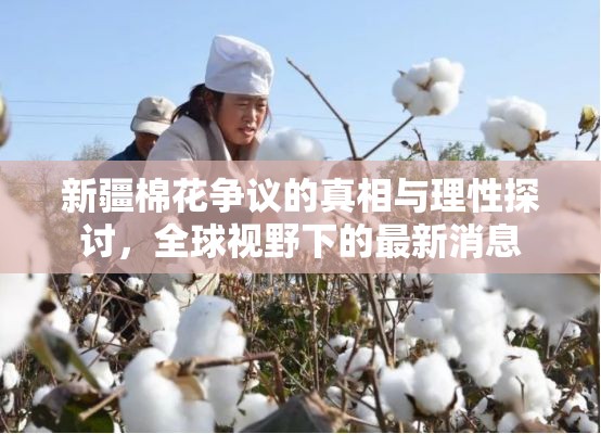 新疆棉花爭議，全球視角下的真相探究與理性分析