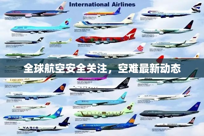 全球航空安全聚焦，空難最新動態(tài)解析