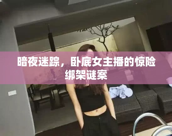 暗夜迷蹤，臥底女主播的綁架謎案