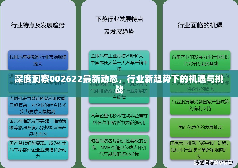 002622深度剖析，行業(yè)趨勢下的機遇與挑戰(zhàn)