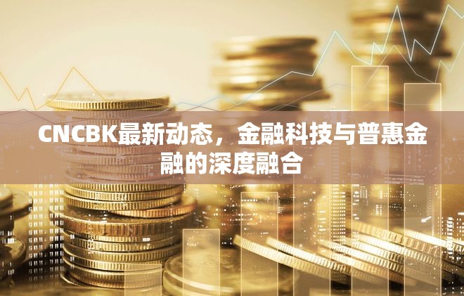 CNCBK動態(tài)，金融科技與普惠金融的融合之道