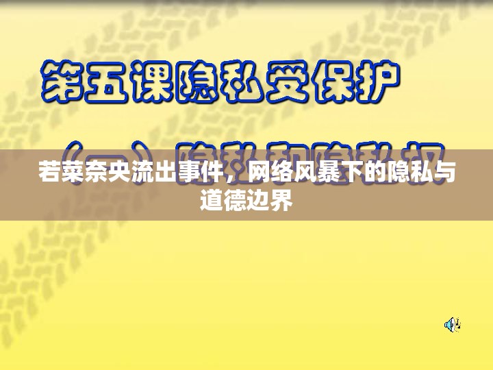 網(wǎng)絡(luò)風(fēng)暴下的隱私與道德邊界，若菜奈央流出事件分析