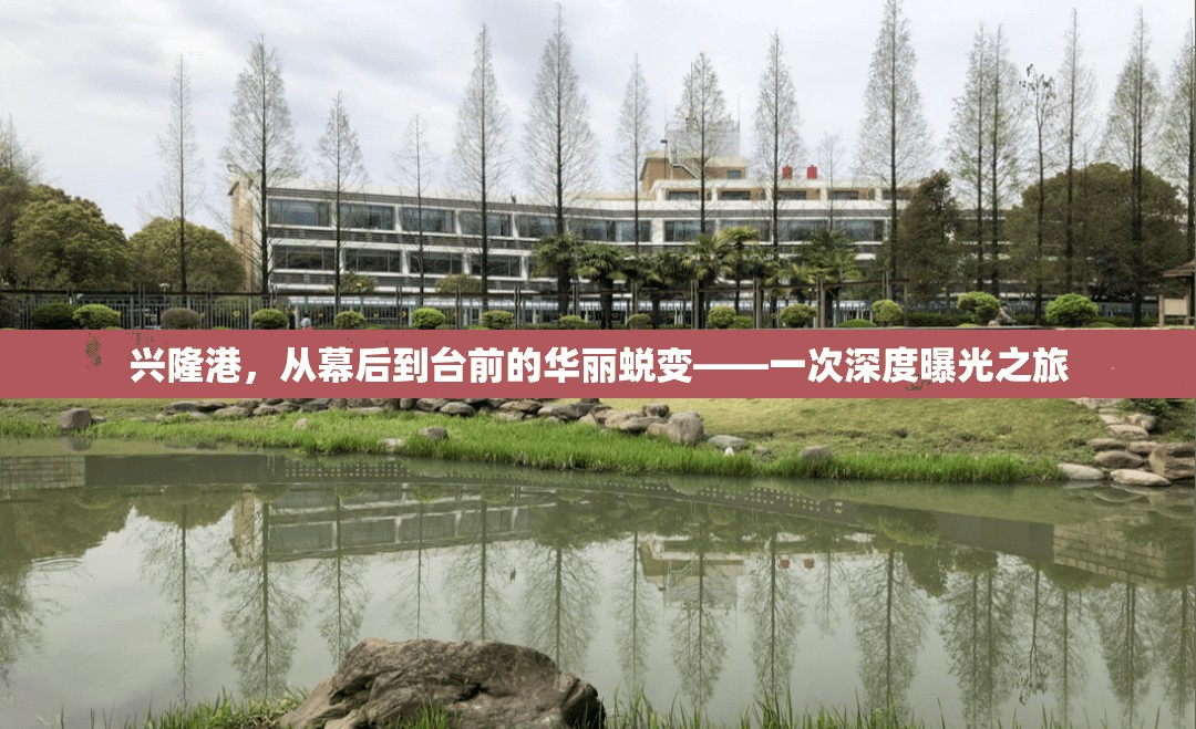 興隆港，從幕后到臺(tái)前的華麗蛻變——一次深度曝光之旅