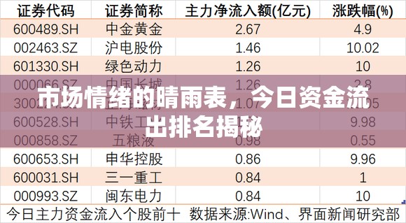 市場(chǎng)情緒的晴雨表，今日資金流出排名揭秘