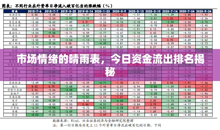 市場(chǎng)情緒的晴雨表，今日資金流出排名揭秘