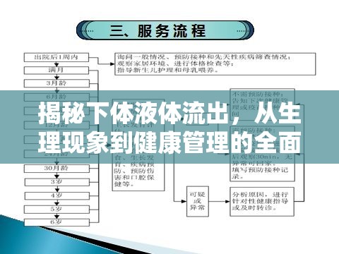 揭秘下體液體流出，從生理現(xiàn)象到健康管理的全面解析