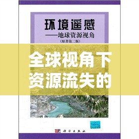 全球視角下資源流失的挑戰(zhàn)與應(yīng)對策略