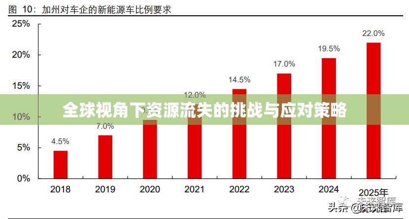 全球視角下資源流失的挑戰(zhàn)與應(yīng)對(duì)策略