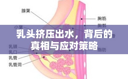 乳頭擠壓出水，背后的真相與應(yīng)對策略