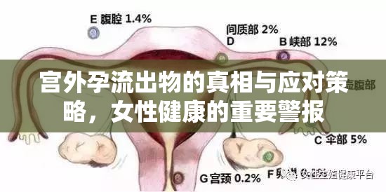 宮外孕流出物的真相與應(yīng)對策略，女性健康的重要警報