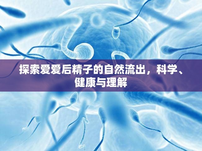 探索愛愛后精子的自然流出，科學(xué)、健康與理解