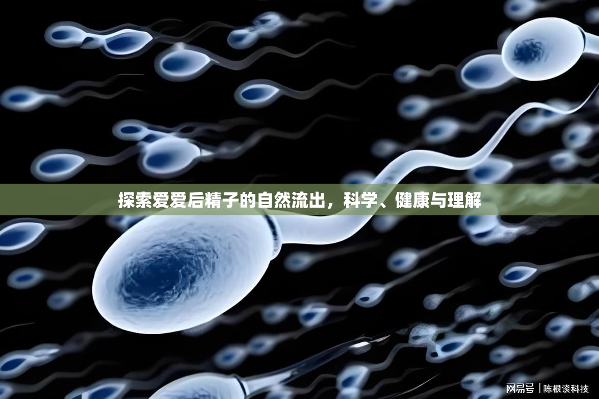 探索愛愛后精子的自然流出，科學(xué)、健康與理解