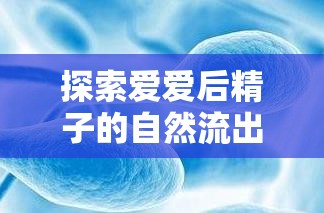 探索愛愛后精子的自然流出，科學(xué)、健康與理解