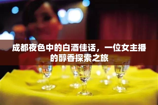 成都夜色中的白酒佳話，一位女主播的醇香探索之旅