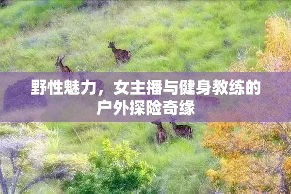 野性魅力，女主播與健身教練的戶外探險(xiǎn)奇緣