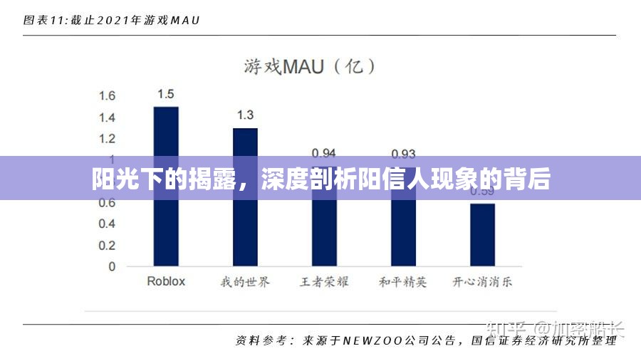 陽光下的揭露，深度剖析陽信人現(xiàn)象的背后