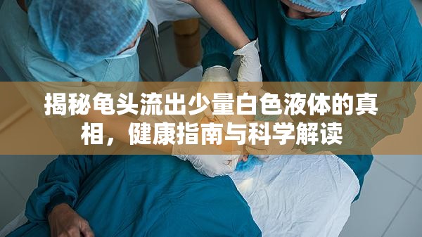 揭秘龜頭流出少量白色液體的真相，健康指南與科學(xué)解讀