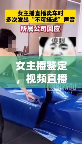 女主播鑒定，視頻直播賣車——全新潮流與信任橋梁的構(gòu)建