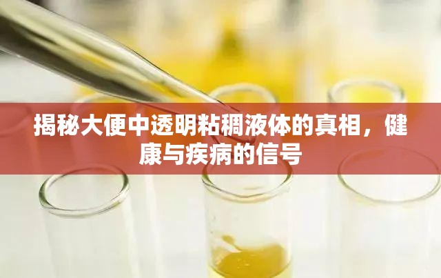 揭秘大便中透明粘稠液體的真相，健康與疾病的信號